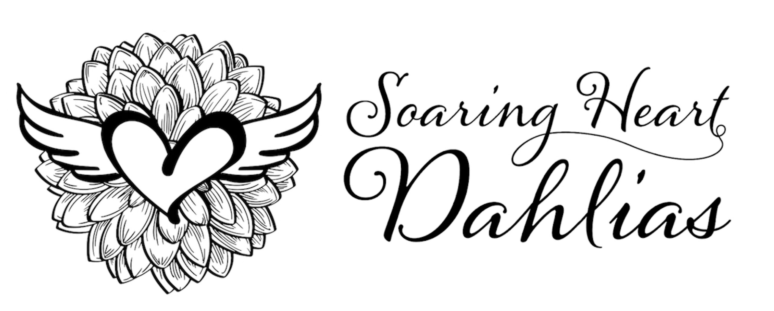 Policies Soaring Heart Dahlias